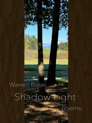 cover image of Shadow Light